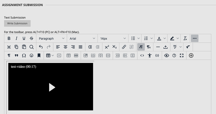 screenshot of learn showing assignment submission text area with an embedded video.